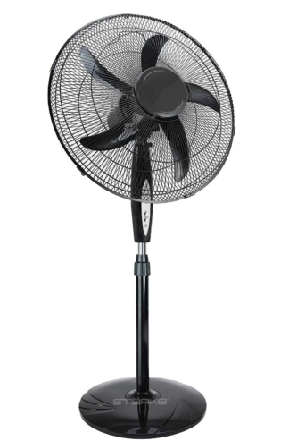 Fan